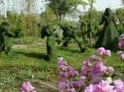 paseo bosque encantado