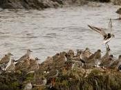 Vivir grupo: juntos pero revueltos