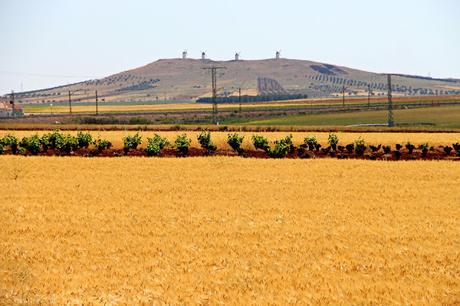 Castilla la Mancha. Los molinos de Don Quijote