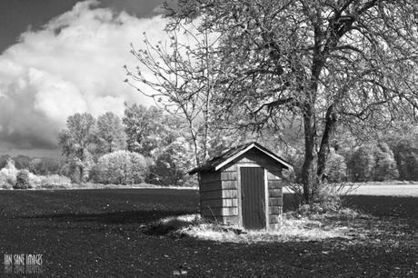 Cómo modificar tu cámara para hacer fotografía infrarroja y ultravioleta 13943619715 F88606ecfa K