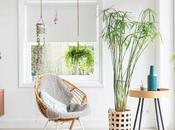 Deco: Blanco, verde azul