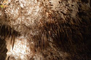 Qué ver en Mallorca - Las Cuevas del Drach y Felanitx