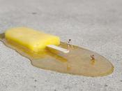 Increíbles intervenciones diminutas personas calles