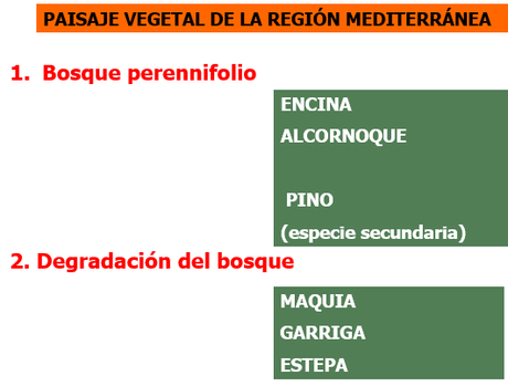 EL PAISAJE VEGETAL ESPAÑOL DE LA REGIÓN MEDITERRÁNEA (CLIMAS MEDITERRÁNEO COSTERO Y MEDITERRÁNEO CONTINENTALIZADO)