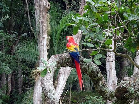 Dos días en Copán