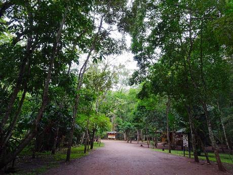 Dos días en Copán