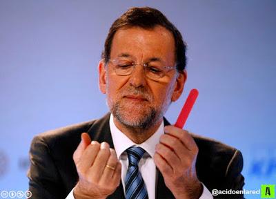 Libros para vender, adornar, rellenar las bibliotecas y también para leer.