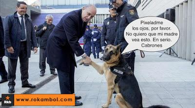 Libros para vender, adornar, rellenar las bibliotecas y también para leer.