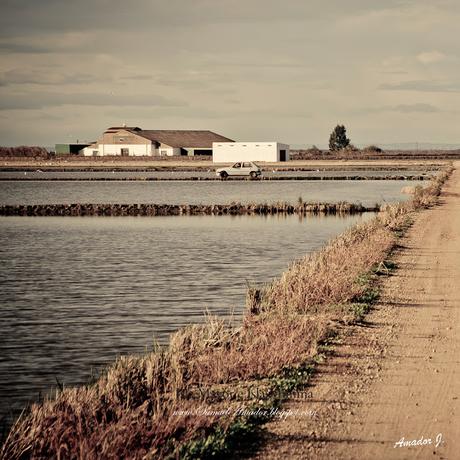 ISLA MAYOR E ISLA MÍNIMA (SEVILLA)