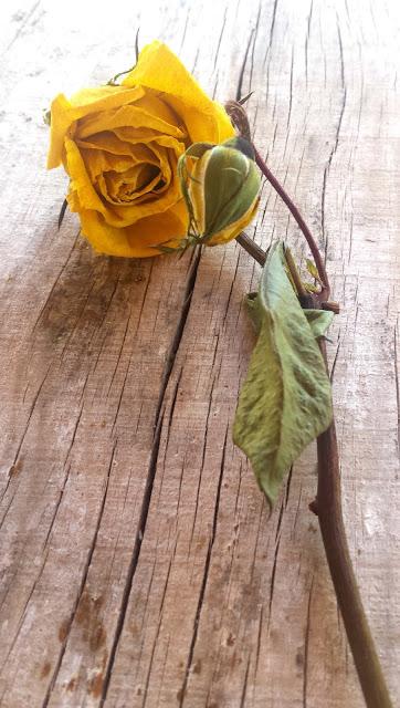 Probando  Mel13 Plus de Pharmamel