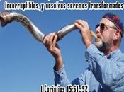 Cristo reunirá novia