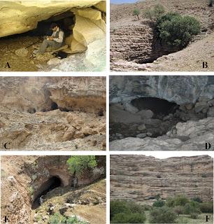 Nuevo trabajo sobre reptiles de cuevas de Irán