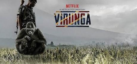 Virunga: lo que el capitalismo es Virunga: lo que el capitalismo es