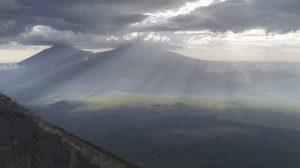 Virunga: lo que el capitalismo es Virunga: lo que el capitalismo es
