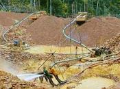 rechaza decreto implementa Arco Minero Orinoco