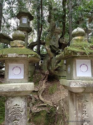 Nara; sus templos y sus bosques primigenios