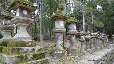 Nara; sus templos y sus bosques primigenios