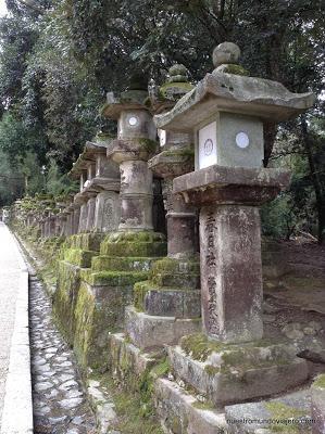Nara; sus templos y sus bosques primigenios