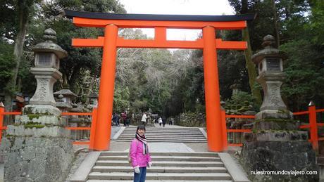 Nara; sus templos y sus bosques primigenios