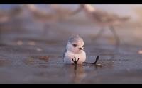 Piper, el nuevo cortometraje de Pixar