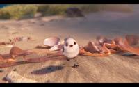 Piper, el nuevo cortometraje de Pixar