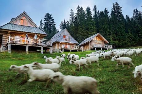 Cabañas Estilo Rustico en las Montañas de Podhale