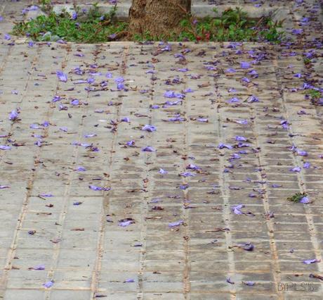 flor4