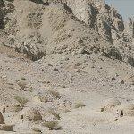 Cuatro días experimentando en (S8) Mostra de Cinema Periférico de A Coruña (I) Filmadrid: Competición Oficial, THE DIGGER / O ESPELHO / A ROUNDABOUT IN MY HEAD