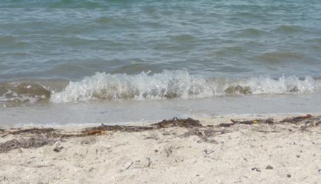 #Cuba Historia de un joven que se iba ilegal del país… no quise irme con la gente que iban allí…