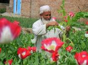Misión cumplida Afganistán: heroína para Mundo