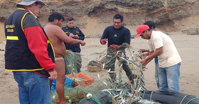 REPOBLAMIENTO DE OVA DE PEJERREY EN HUACHO…