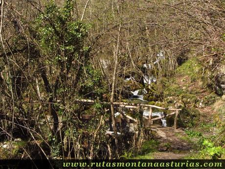 Puente en el camino