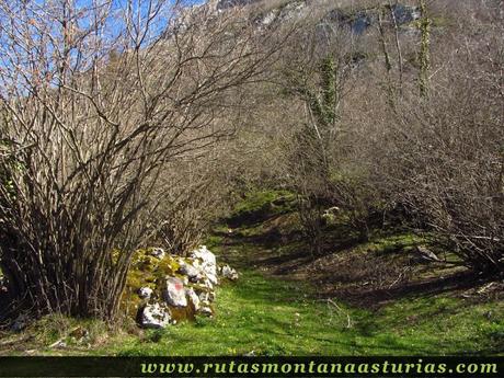 Camino al Cuetu Ferreiru