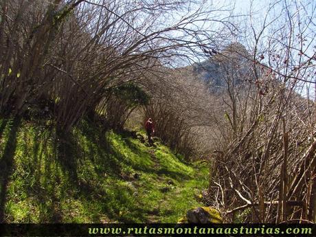 Desvío del camino principal