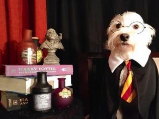 Bizcoflan- Cumple de Cuky