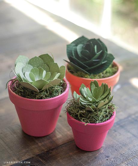 DIY | Haz tus propias suculentas y cactus de papel