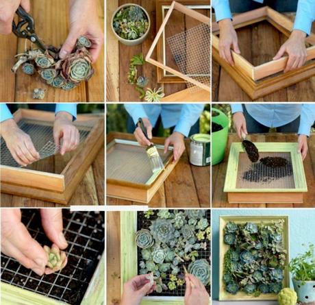 DIY: Aprende a realizar macetas de material reciclado