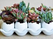 DIY: Aprende realizar macetas material reciclado