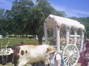 Romería Divina Pastora Aracena