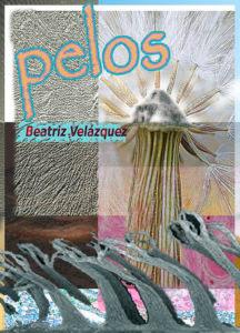 “Pelos”   Beatriz Velázquez