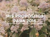 Repasando propósitos 2016