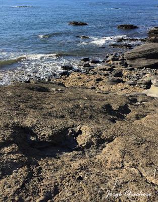 Caminando entre dinosaurios