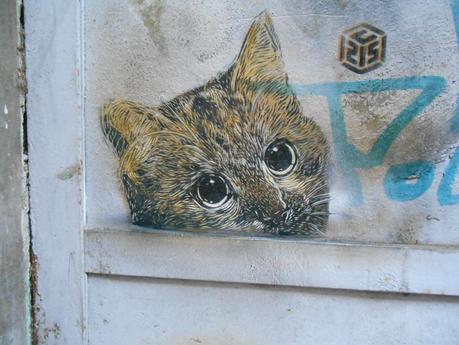 Este artista callejero está dispuesto a llenar las paredes de las ciudades de gatitos
