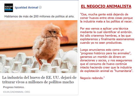 El negocio animalista en apoyo de la industria del huevo