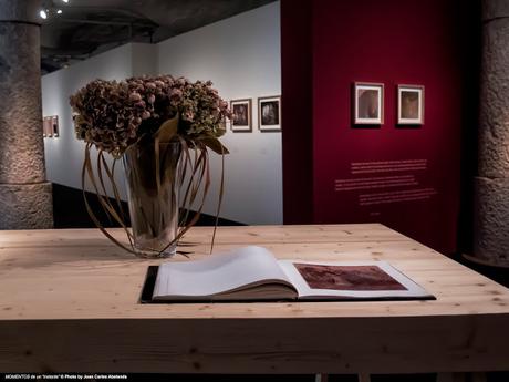 Barcelona (La Pedrera-Exposición de Toni Catany): El arte de la naturaleza muerta