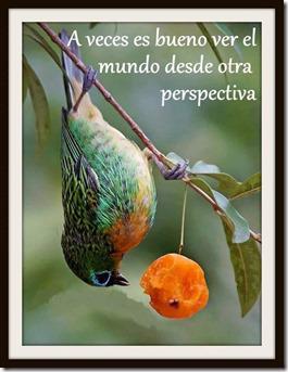 perspectiva