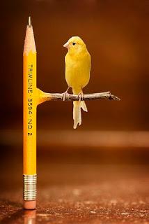 ME GUSTA TU MIRADA...