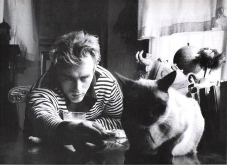 James Dean y Louis XIV