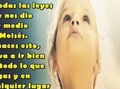 importancia instrucciones