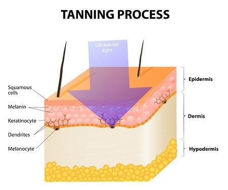 Esta imagen es de blog.hola.com/farmaciameritxell que hablan sobre el tema. ¡Llega el Verano, dale al autobronceador!